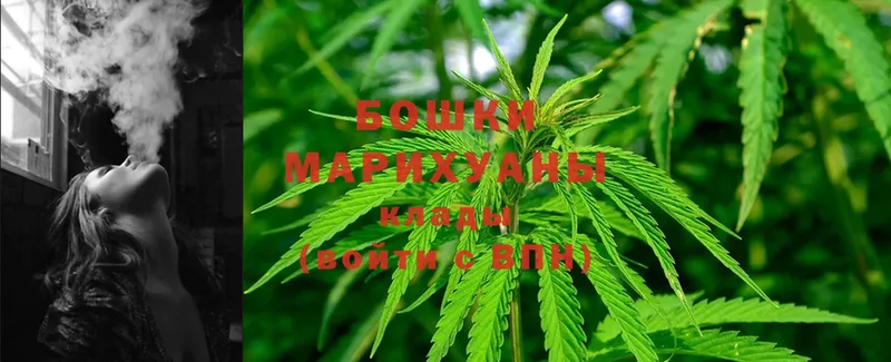 Марихуана White Widow  продажа наркотиков  Нюрба 